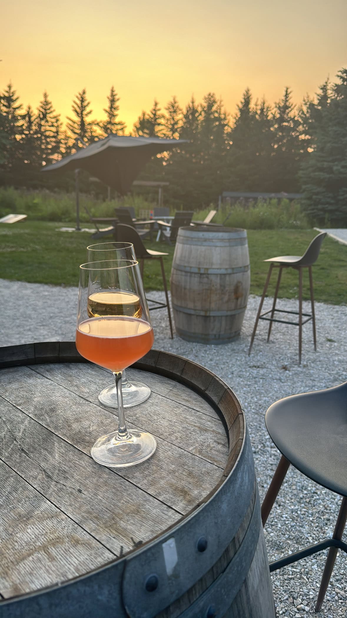 twelve eleven winery in sister bay door county