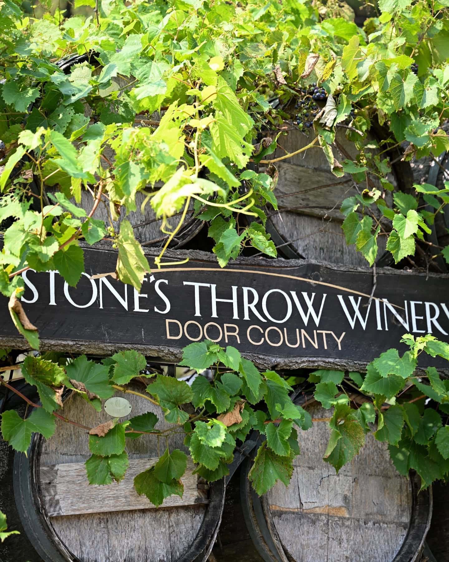 stone's throw winery in door county featured in this door county itinerary