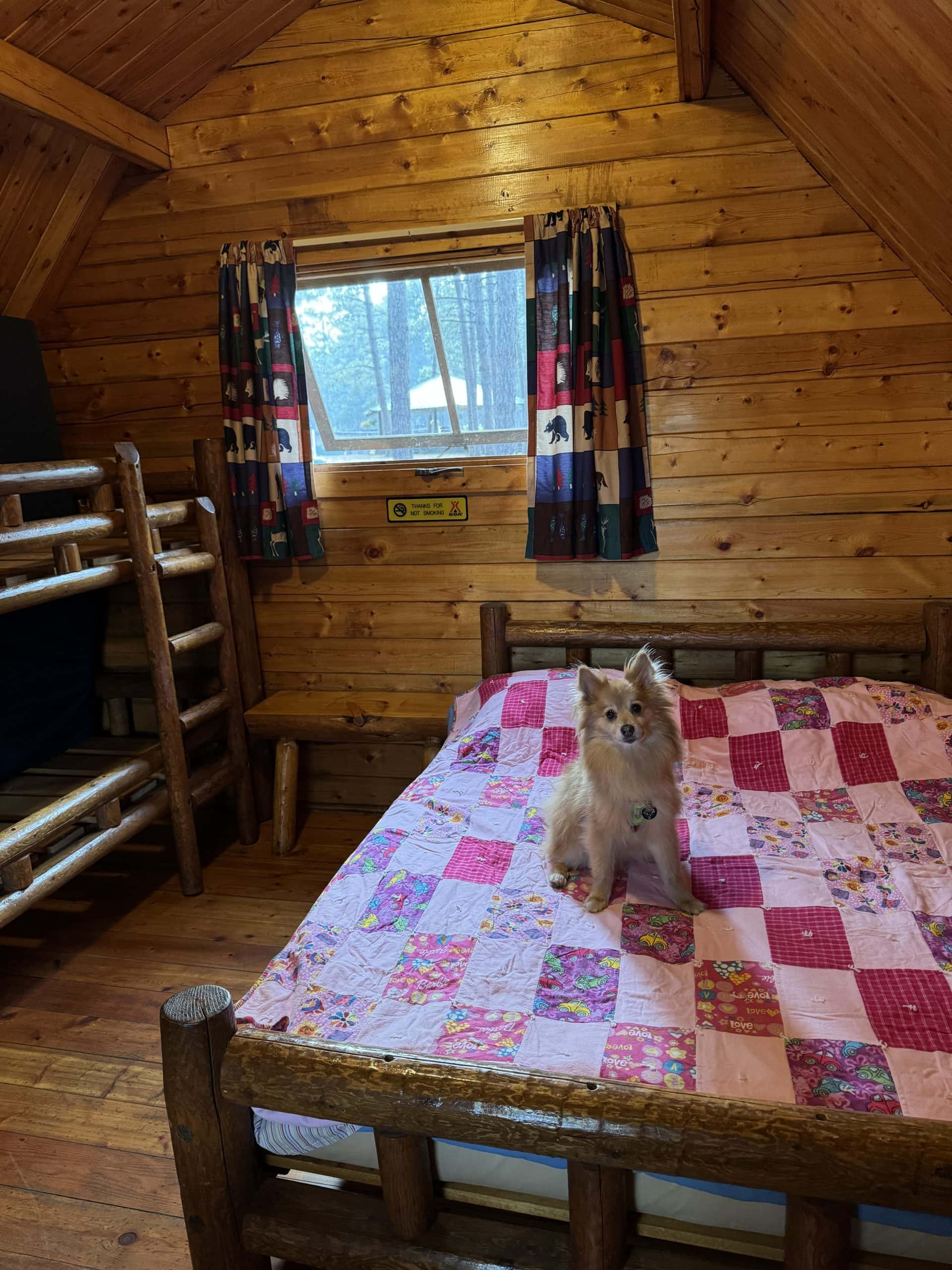 Inside the Rustic Cabin at the holiday Hayward KOA 
