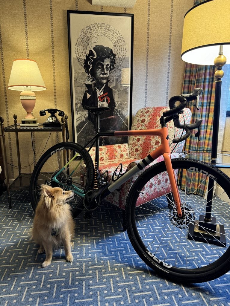 photo of pomeranian in graduate iowa city hotel showing it is pet friendly in this iowa city weekend itinerary
