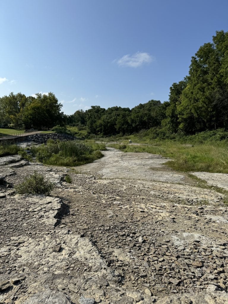 photo of Devonian Fossil Gorge 