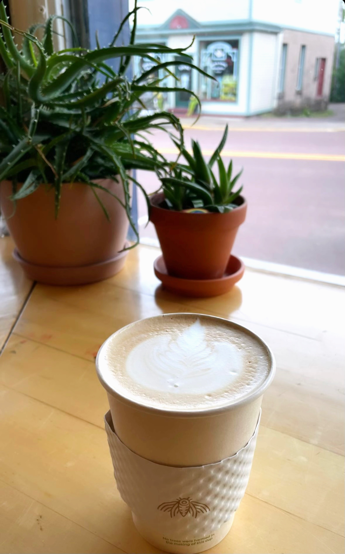 coffee in bayfield wi