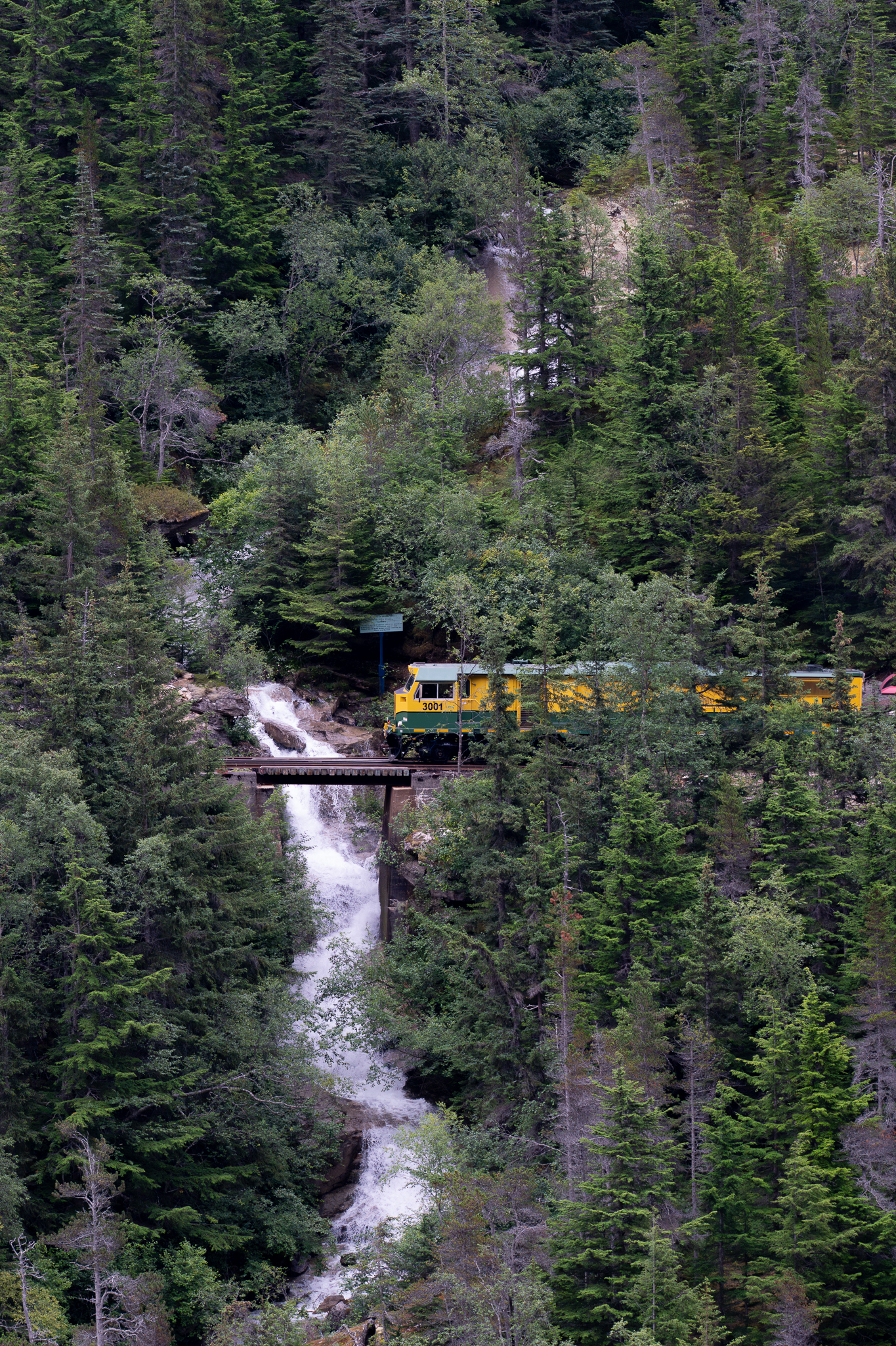 White Pass Rail & Klondike Highway on the royal princess alaska cruise excursion