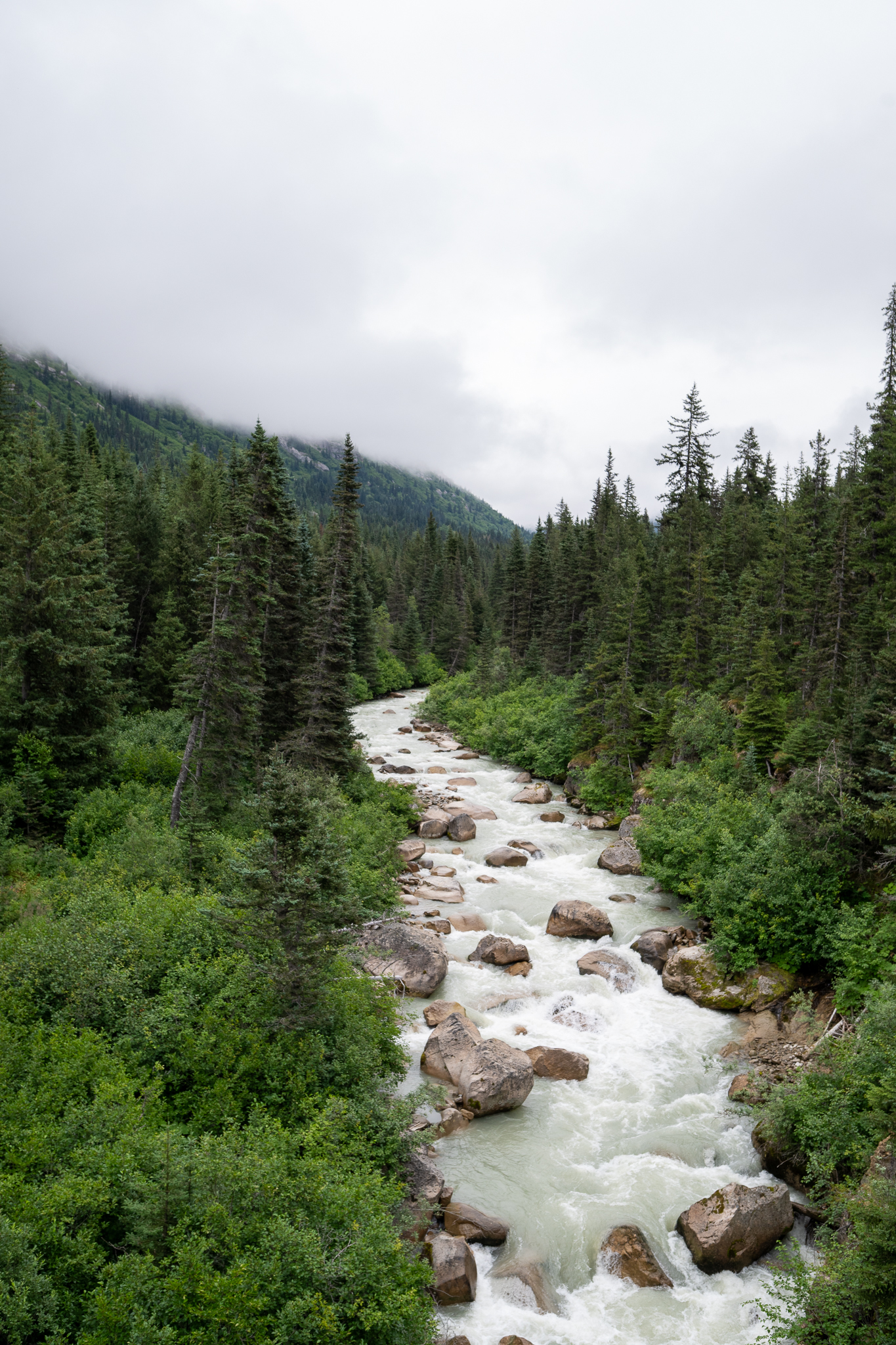 White Pass Rail & Klondike Highway on the royal princess alaska cruise